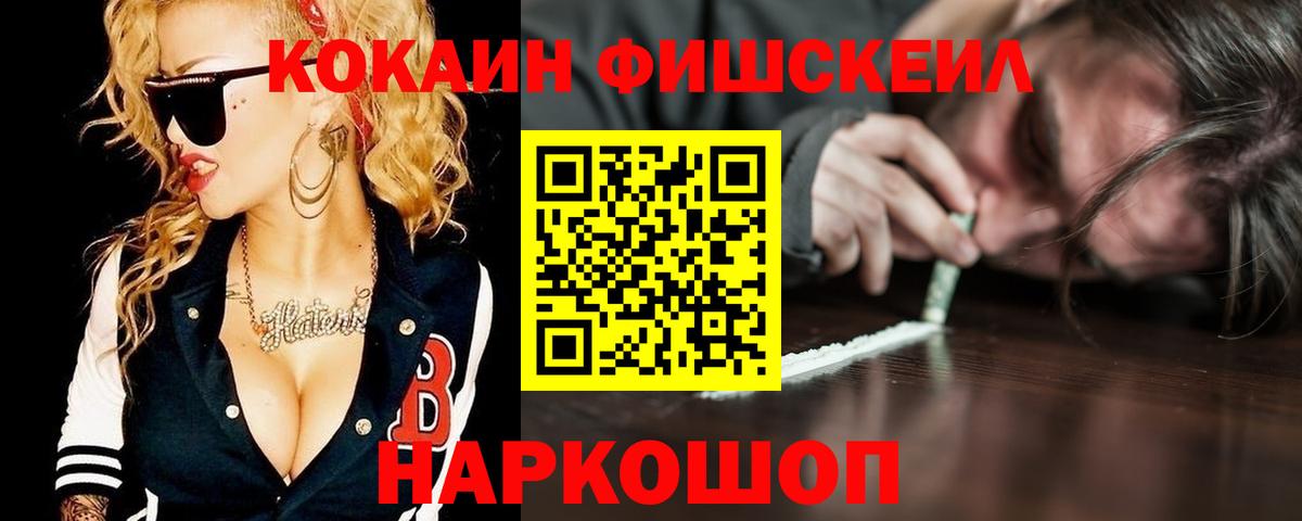 Кокаин FishScale  Камышин 