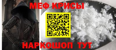 прущие грибы Гатчина