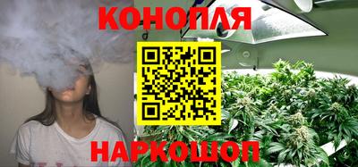ешки Гай