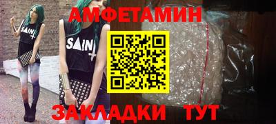 прущие грибы Гатчина