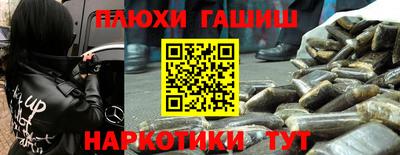 ешки Гай