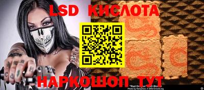 прущие грибы Гатчина