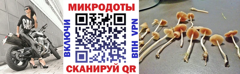 Галлюциногенные грибы Magic Shrooms  Камышин 