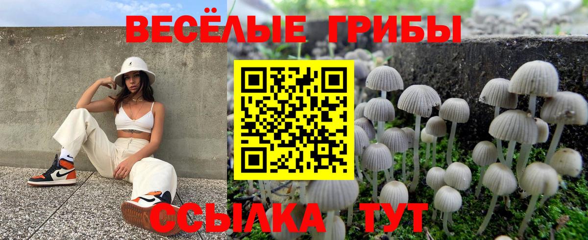 Галлюциногенные грибы GOLDEN TEACHER  Псилоцибиновые грибы Cubensis  Камышин 