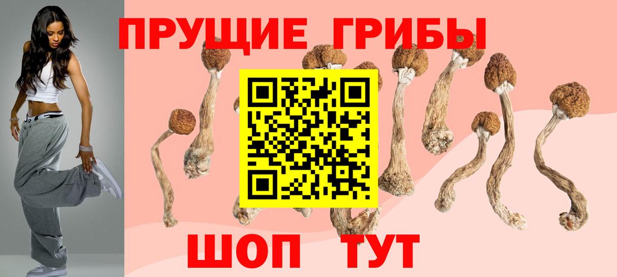 Камышин  Псилоцибиновые грибы Magic Shrooms  Вход с VPN  Галлюциногенные грибы GOLDEN TEACHER 